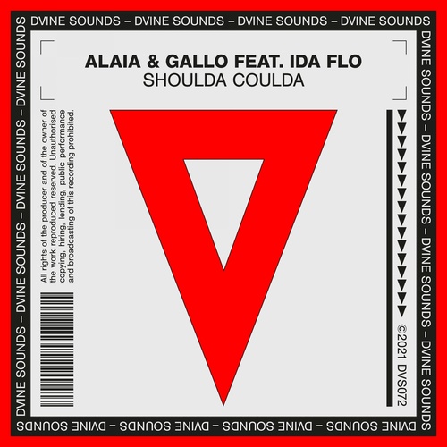 Alaia & Gallo, IDA fLO - Shoulda Coulda [DVS072B]